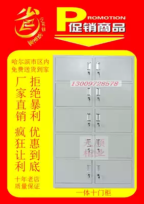 Ten-door Cabinet-(iron cabinet-storage-file cabinet-roll cabinet-factory direct sales)
