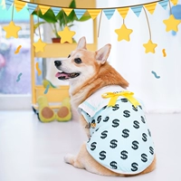 Список флота брата двенадцатиперстной кишки