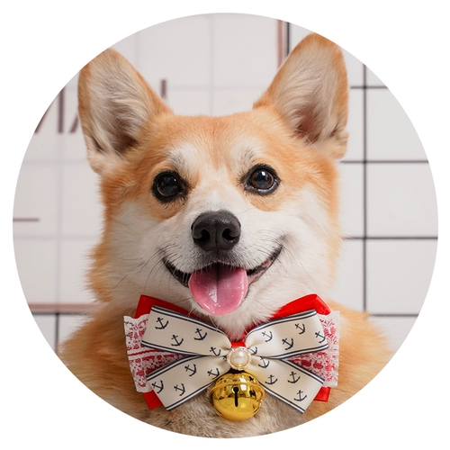 Элегантная галстук-бабочка ручной работы с бантиком, чокер, аксессуар