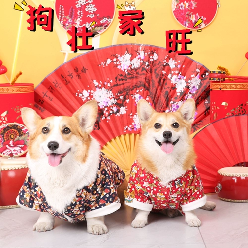 婉蔓 Корги новогодний хлопчатовод Corgi Corgi Cotton Cotton Kettement, привлечь богатство и благословения, чтобы отпраздновать новогоднюю собаку новогоднюю одежду осенью и зимний стиль, чтобы согреться