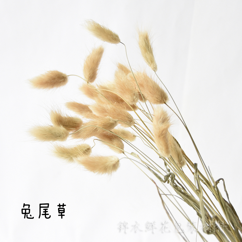 Rabbit grass color dry flower arrangement immortal flower home decoration photo photography props flower packaging material