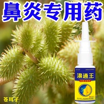 鹅不吃草苗家鼻炎膏过敏性鼻塞鼻窦炎鼻甲肥大专用药