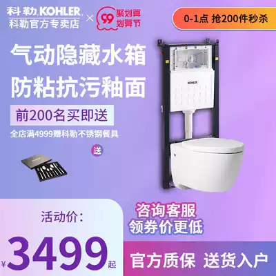 Kohler wall-mounted toilet toilet modern wall-mounted toilet hidden water tank K-25255T