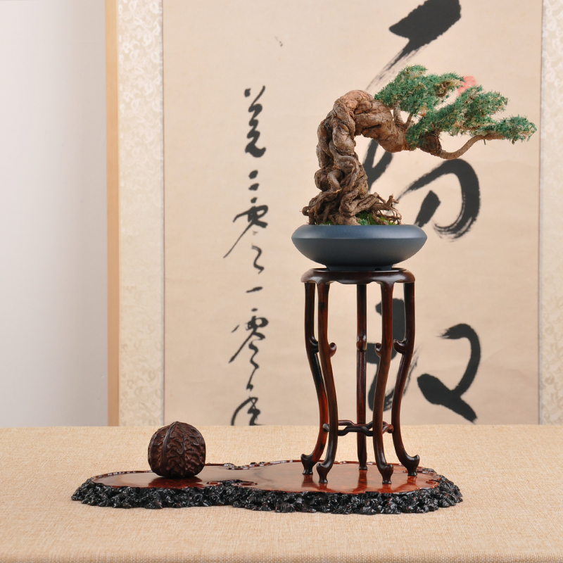 Mahogany ebony acid branch Ming-style round high stone jade ornaments vase flower pot bonsai base flower shelf