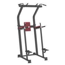 Weibu Z-6033 Commercial Single Parallel Bars Upper Limb Flexion and Extension Parallel Bars Lift Leg-up Training Equipment
