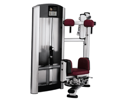 WeStep 6021 Torso Revolved Trainer Commercial Fitness Room Apparatus
