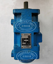 Double vane pump YB1-10 10 6 4 2 5 25 20 16 12 50 40 32 63 80 100