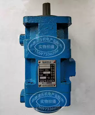 Double vane pump YB1-10 10 6 4 2 5 25 20 16 12 50 40 32 63 80 100