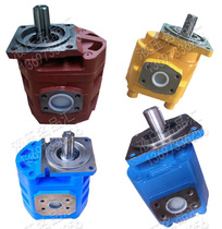 Gear pump CBGj3160 3125 3140 3100 3200 3220 3180 3166 CBG JHP