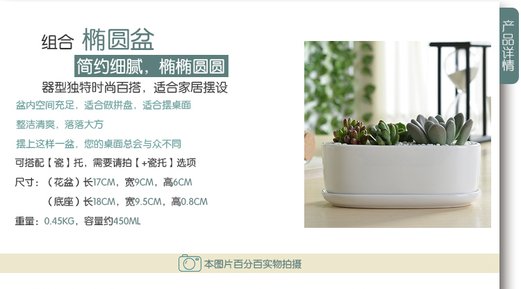 多肉植物花盆花器日式韩国多肉花盆zakka 白色陶瓷组合椭圆盆 生活服务 女装 流行女装 淘陶园艺 多肉植物花盆花器日式韩国多肉花盆zakka 白色陶瓷组合椭圆盆 生活服务 女装 流行女装 淘陶园艺