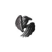 British A brand Alchemy dark goth subculture R250 Made of the Night raven ring