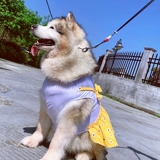 Весна и летняя собаки и кошачья ремешок с высокой талией Симпатичная маленькая цветочная юбка Тедди Баррин Аляска Золотые волосы Сацума