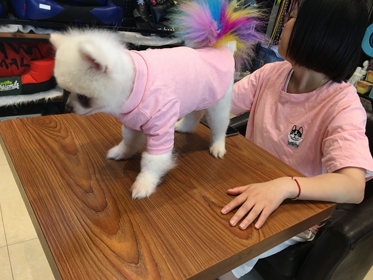 TLB tùy chỉnh cotton cha mẹ-con chó Áo thun Teddy Bomei chó nhỏ chó quần áo quần áo phòng máy lạnh mùa hè - Quần áo & phụ kiện thú cưng mũ bảo hiểm cho mèo