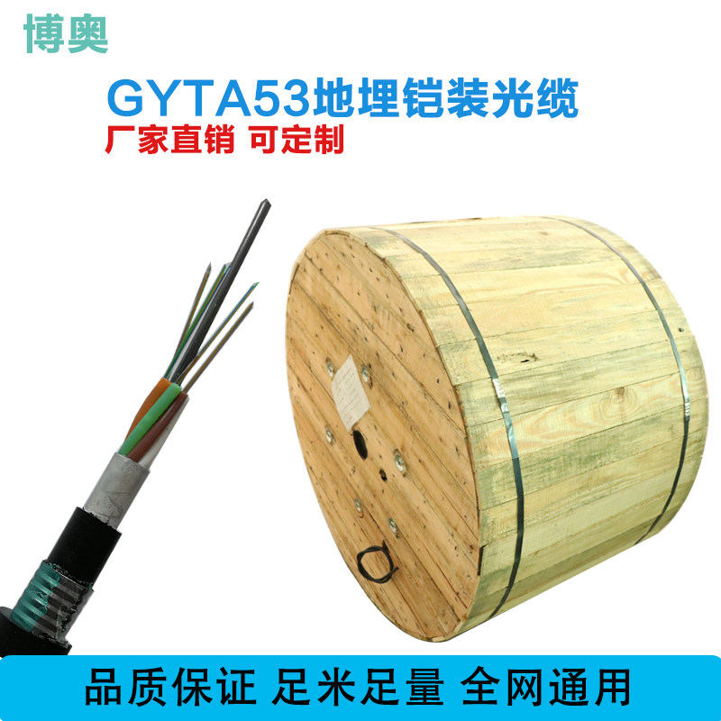 GYTA53-12 core outdoor cable laminated single mode fiber solid pipe overhead communication 24 core