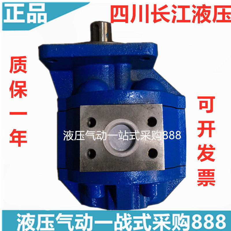 Sichuan Yangtze River Hydraulic CBGFa2063-B1R 2080 2063 2050 2040 A1R B1L A1L