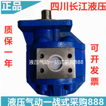 Sichuan Changjiang Hydraulic CBGFa2063-B1R 2080 2063 2050 2040 A1R B1L A1L