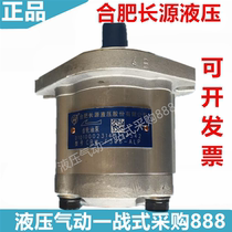 Hefei Changyuan Hydraulic CBW-F304 F306 F310 F316 F320-ALP ALH ALPL ALHL