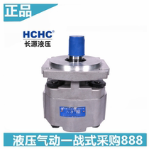 Long source gear oil pump CBKP100 80 63 50 40 32BFHL BFPL truck crane double pump drilling rig