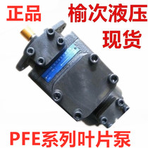 Yuci HYDRAULIC oil pump DOUBLE vane pump PFE-43085 016-1DTO 022 28 36 44 21MPA