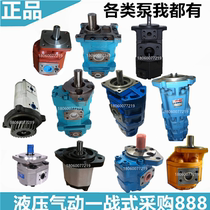 Sichuan Yangtze River hydraulic gear pump CBGF3 CBGdF3 CBG4 GSA GPC CBXF G20 G30 CBL