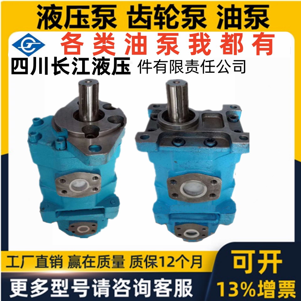 Sichuan Yangtze gear pump CBY2040 2020 2020-2TR CBY3100 3063 2040-2FR-T-Taobao