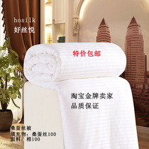 Good silk Yue customized 100 mulberry silk quilt warm winter quilt core summer quilt spring and autumn quilt