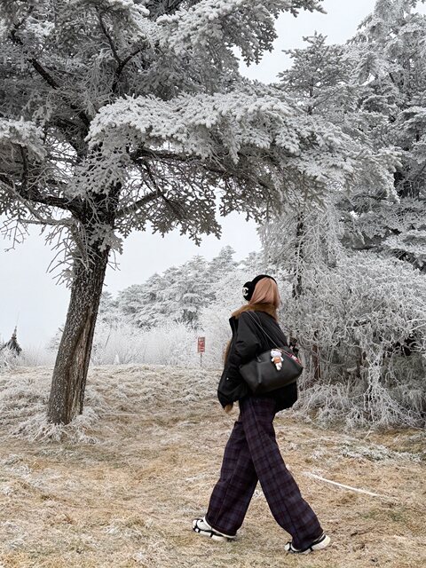 Mungsera'Winter Edinburgh' Fox Fur Parka down Jacket Black Short Warm Coat New Style