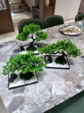 WO+симуляция подделка Bonsai приветствует сосна, сосна украшения в гостиной.