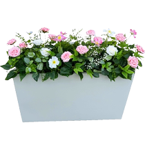 wo Simulated rose anthurium flower box with sales department restaurant milk tea shop commercial street fence partition decoration
