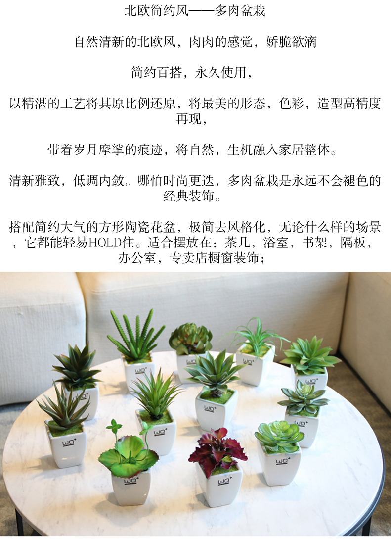 The Send + high simulation fleshy green plant pot with ceramic flower pot fresh Nordic wind bookshelf sink decorative furnishing articles