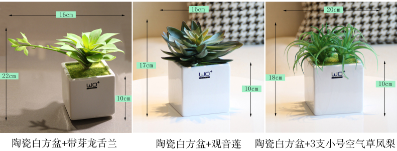 The Send + high simulation, green potted meat more I and contracted with ceramic basin simulation bonsai the plants furnishing articles