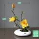 Белый плоский керамический бассейн + розовая красная магнолия