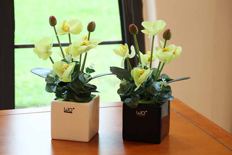 Send the PU + high simulation butterfly orchid floral suit I and contracted desktop conference decoration is seems ceramic flower pot