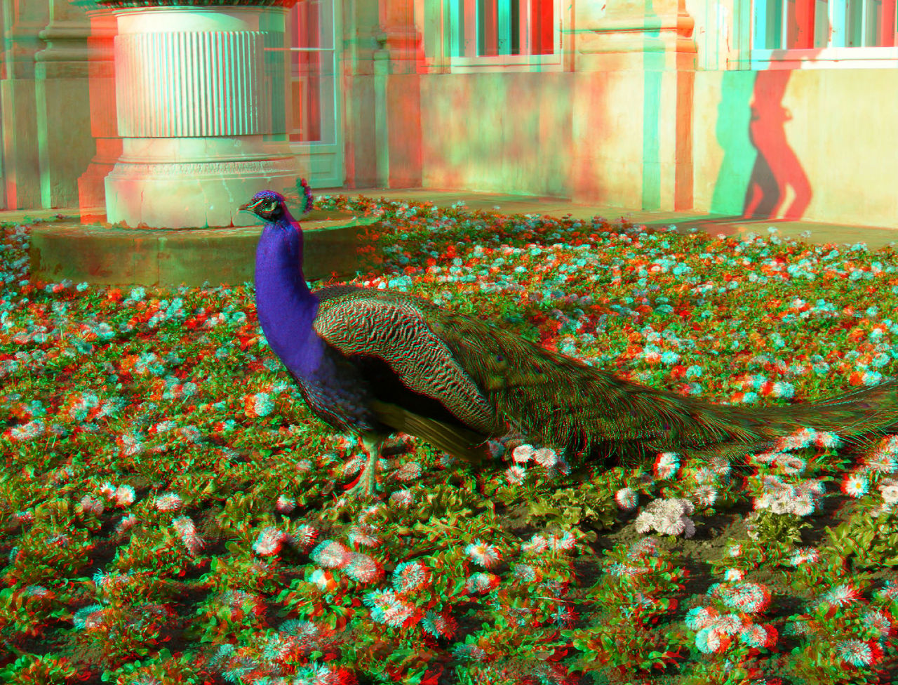 Lunettes 3D SMALL - Ref 2621493 Image 25