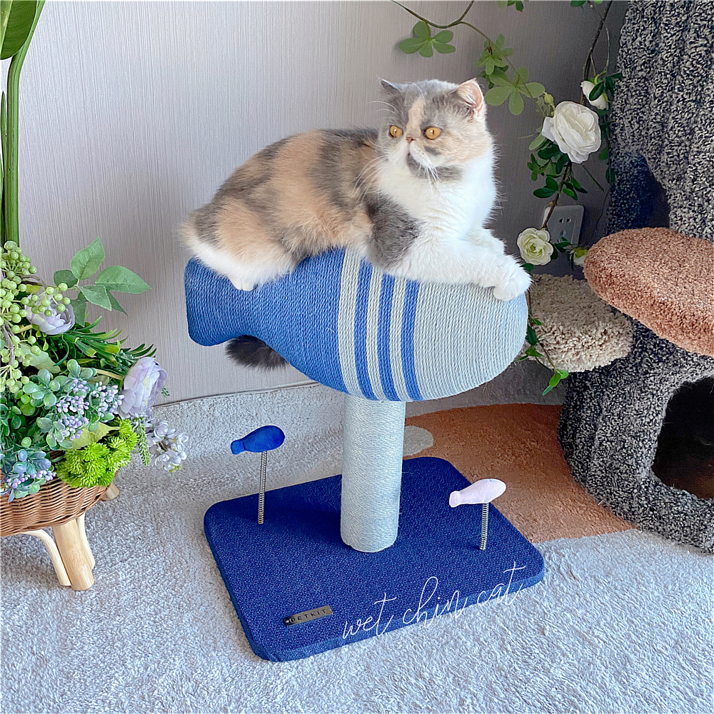 I want to go by fish homo ~ little peefly fish cat climbing cat-catwalk catwalk catfish catfish catwalk small cat groped terrace