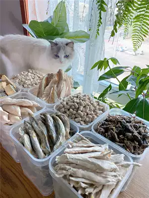 Cat exclusive high-quality lyophilized middot zui good salmon, chicken, beef, quail, small fish, dried cat snacks
