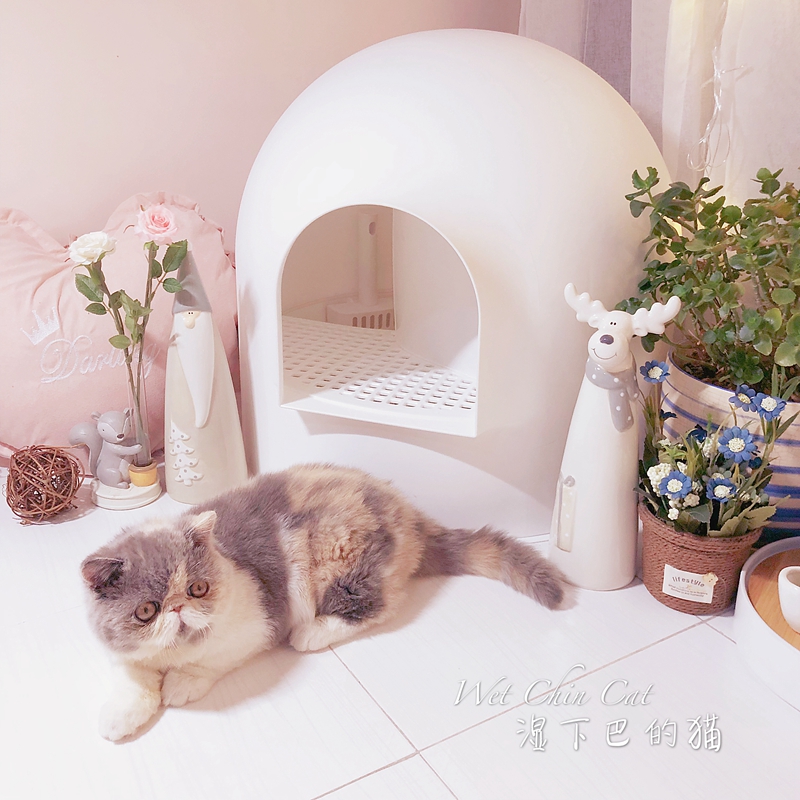  New products PIDAN snow house cat litter basin cat toilet white single layer totally enclosed and anti-spray urine anti-out