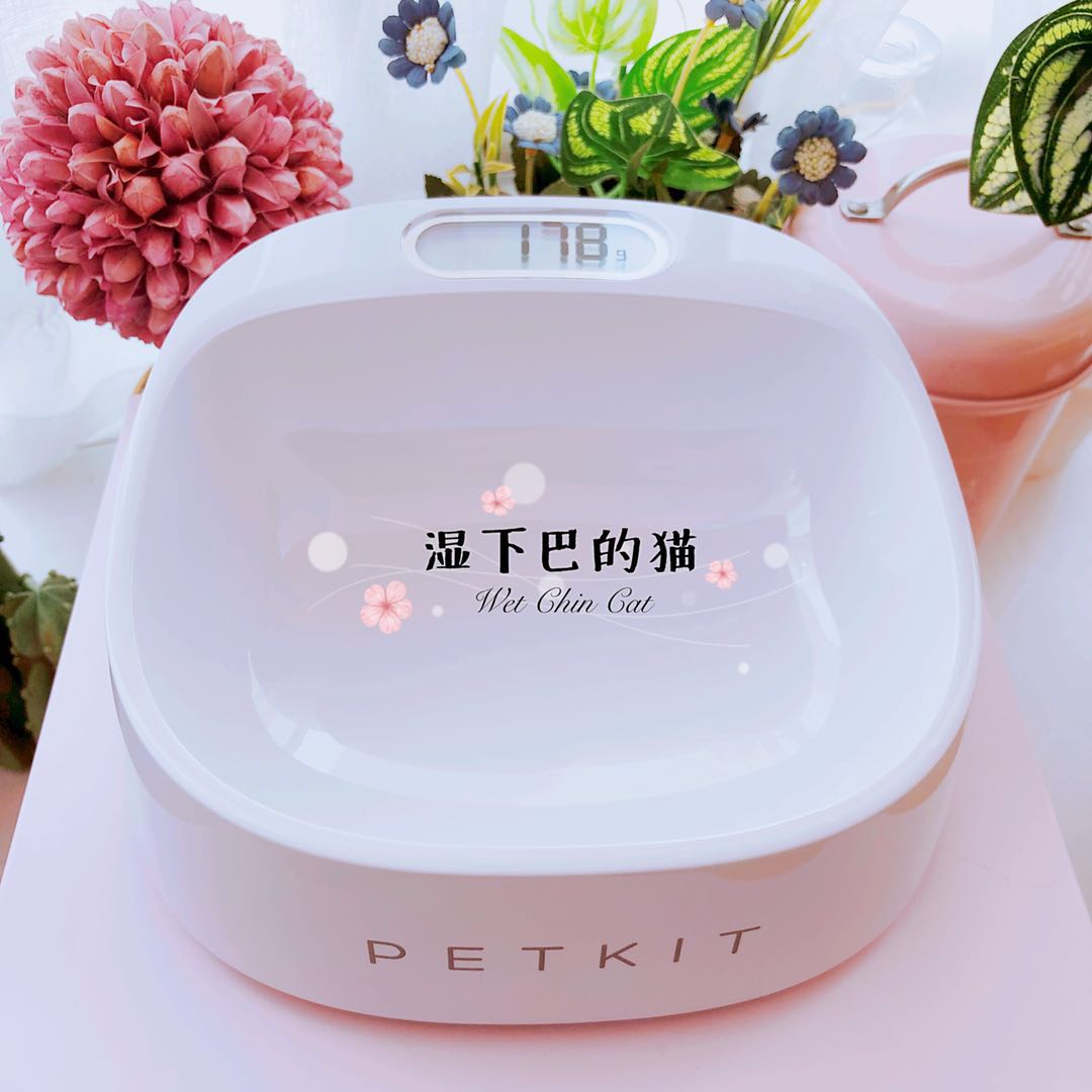 Small Pei Petkit Pet Smart Weighing Dogs Eating Basin Cat Bowls Dog Bowls Dogs Cat Rice Bowls Detect Feeding
