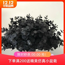 Fake flowers silk flowers personality alternative black leaves bunk grass eucalyptus unique style