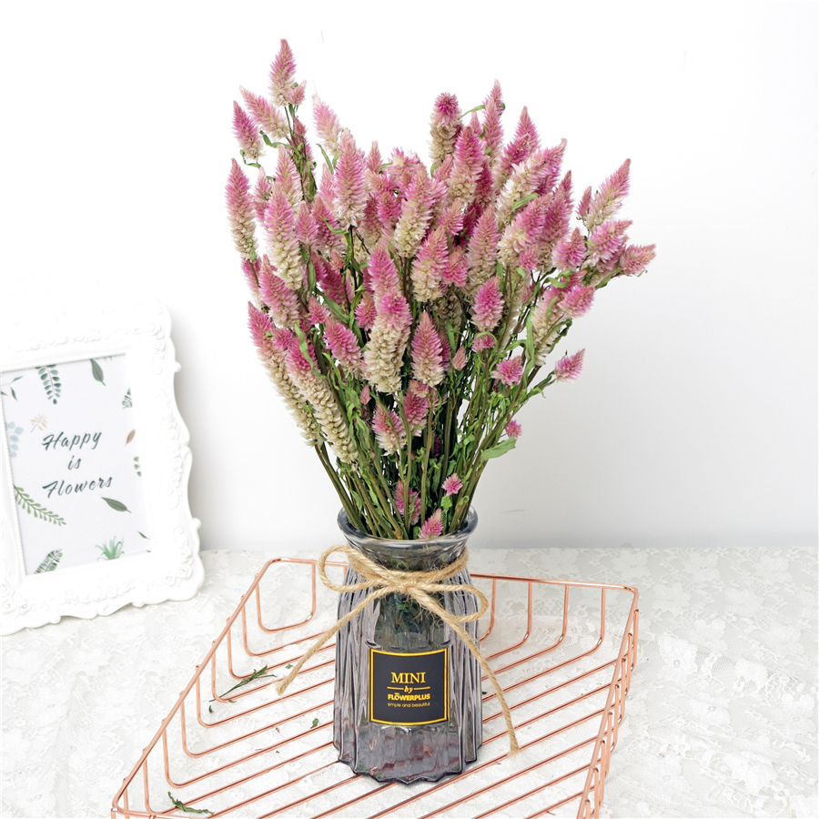 フェニックスの尾のドライフラワーの小さな新鮮な文学DIYブーケ本物の花の家の家具北欧のインターネットの有名人のインスタイルの写真の装飾