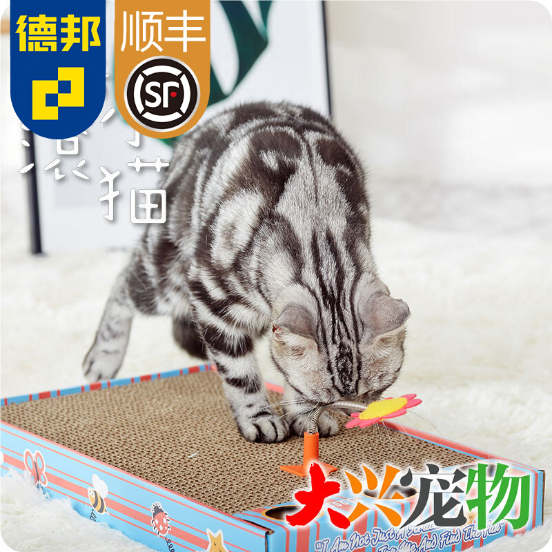 China FOFOS two raccoons rock cat scratching board scratching board rocking music comes with a cat funny stick の cat scratching board