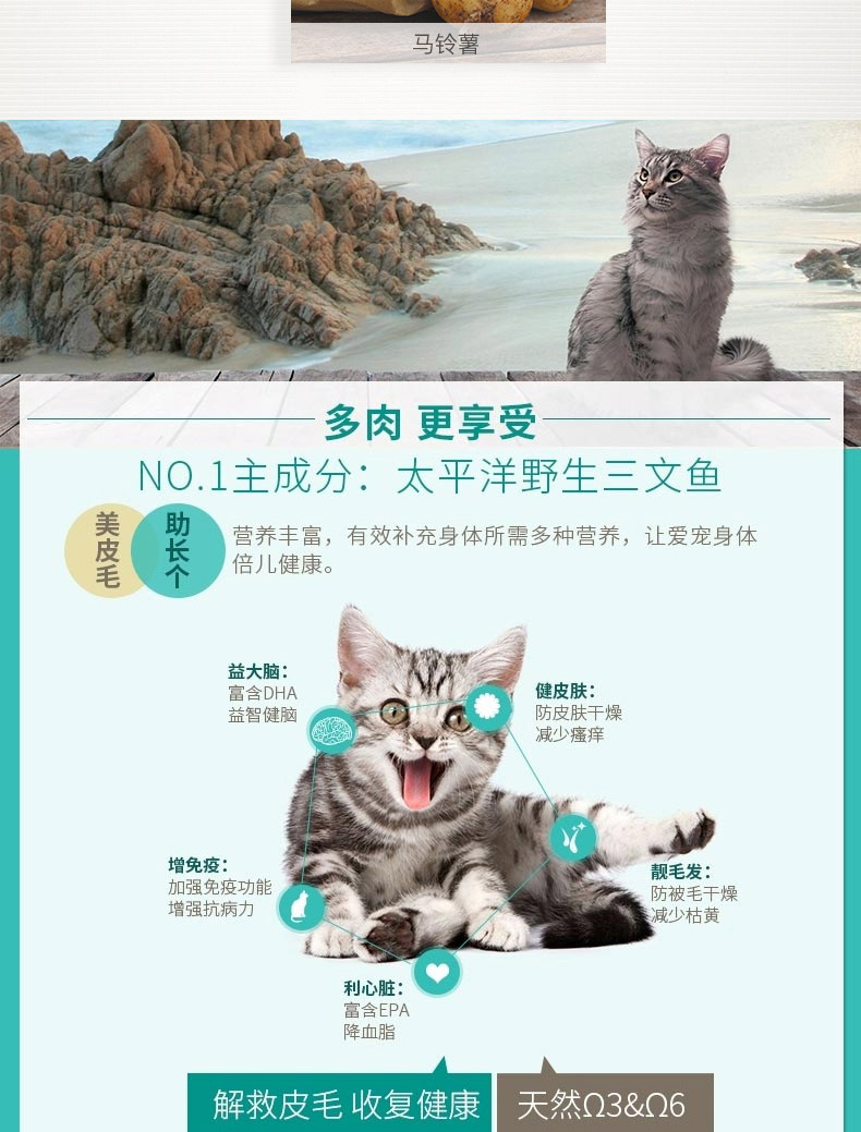 5Upet chống giả | [Hoa Kỳ] Kabi / Cà phê không có hương vị cá hồi ngũ cốc vào thức ăn cho mèo nói chung 10 pound - Cat Staples royal canin giá rẻ