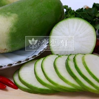 Зеленая редька с четырьмя сезонами