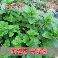 Парфюм Mint 400 капсулы+прорастание