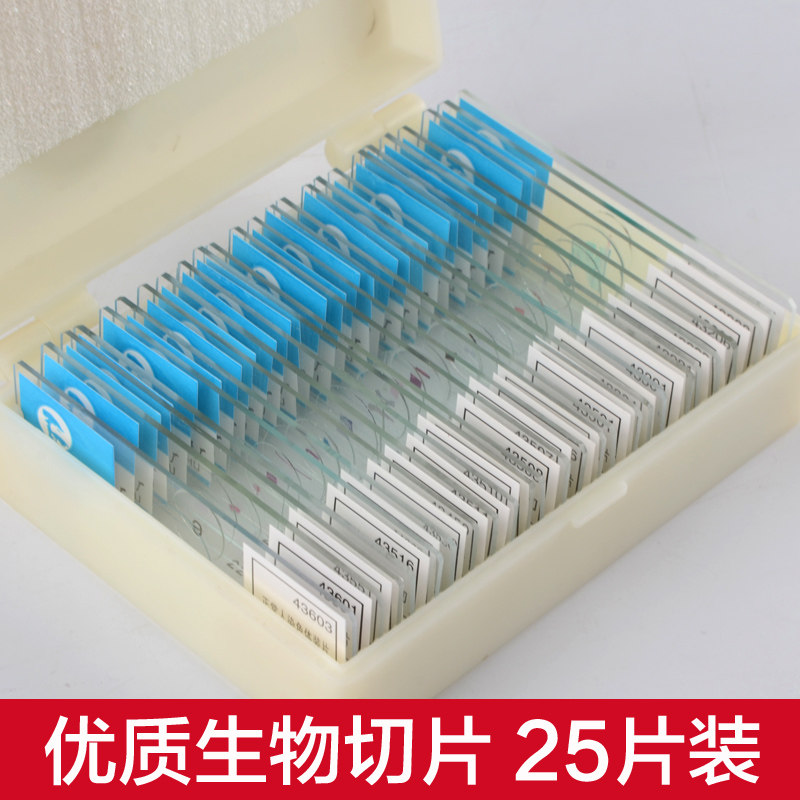 25 pieces of biological slices (Wannan brand) microscope specimens experimental slides mounted cell slides