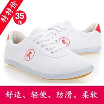 Tai Chi Shoes Sails Cloth Shoes Bull Fascia Bottoms Hommes et femmes Taijiquan Boxing Shoes Martial Arts Practice Shoes Children Group Performance Shoes