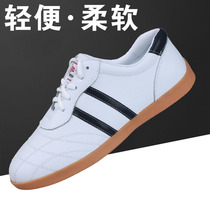 Spring and summer new Tai Chi shoes soft cowhide tendon bottom martial arts Tai Chi breathable casual training shoes Kung Fu shoes