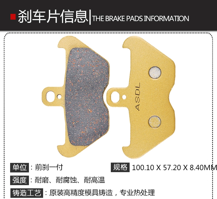 Áp dụng phụ kiện xe máy BMW má phanh R850C R1150GS R1200C phanh sau phanh đĩa da phía trước - Pad phanh