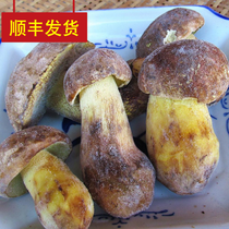 Yunnan Ice Fresh Wild Delicious Bull Liver Fungus White Onion Fungus Frozen Fresh Cow Liver Fungus Refreshing Bull Liver Bacteria 1kg Cisabundant