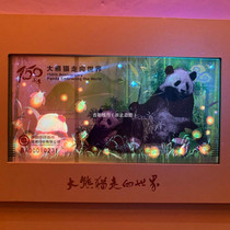150th Anniversary of Giant Panda Going to the World